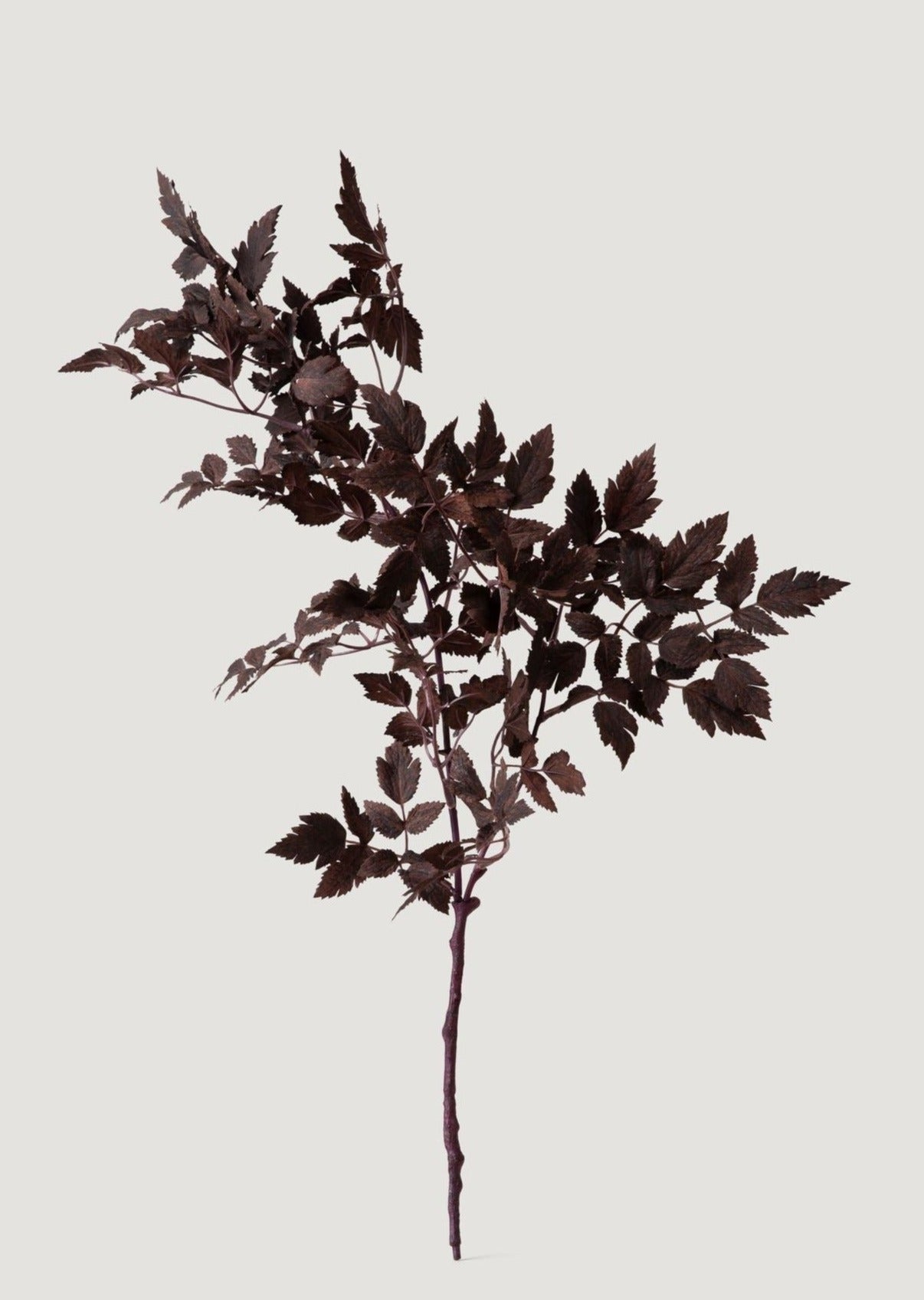 Plum Artificial Cimicifuga Plant Leaf Spray - 31"