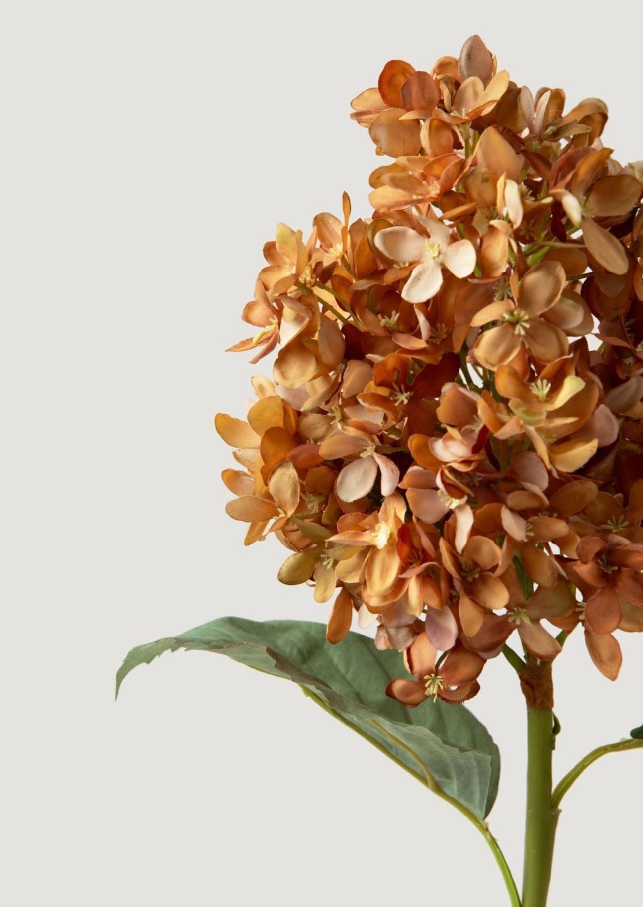 Dried Look Fake Cone Hydrangea Stem in Autumn  - 23"