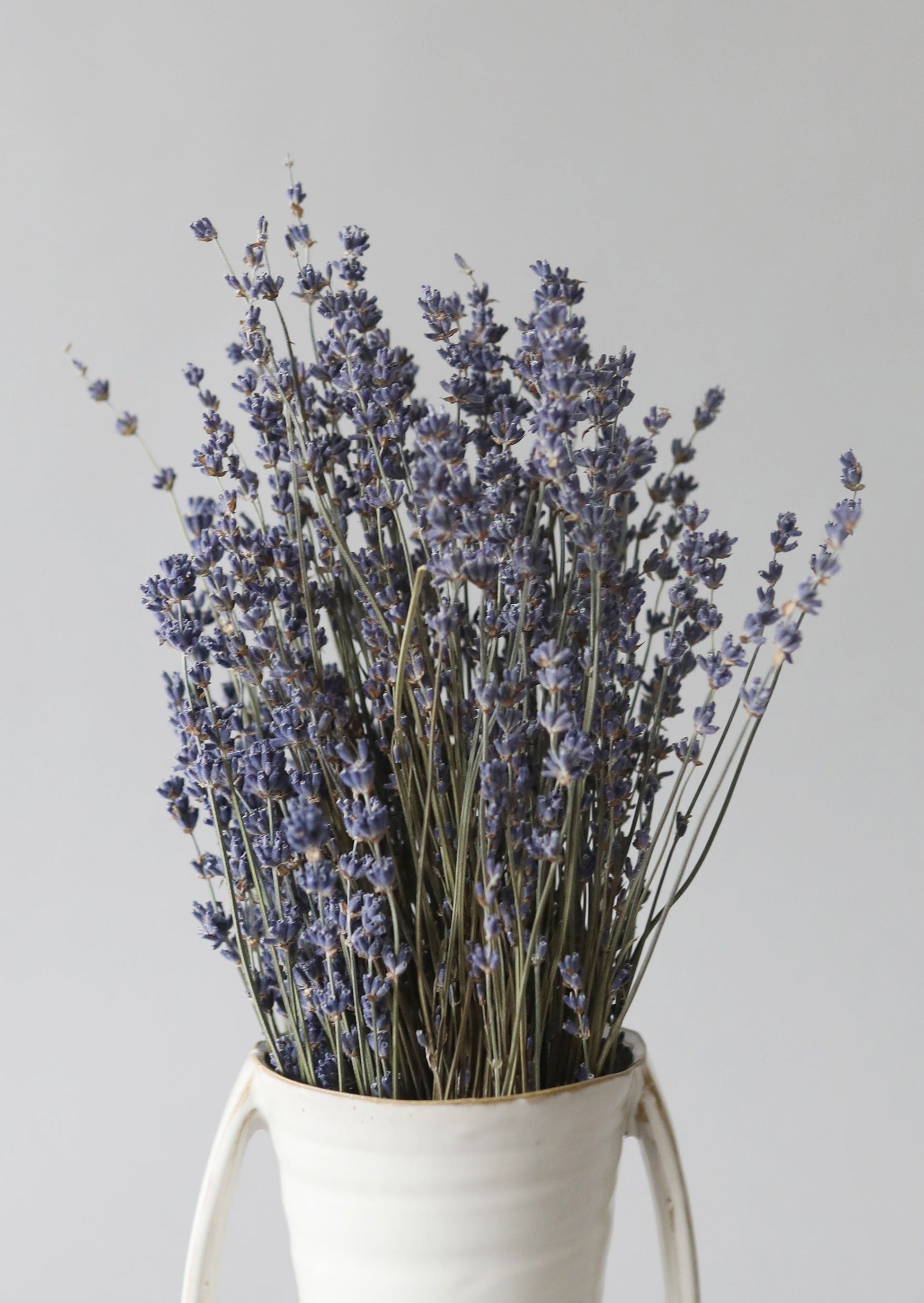 Natural Fragrant Dried Lavender Bundle - 6-14"